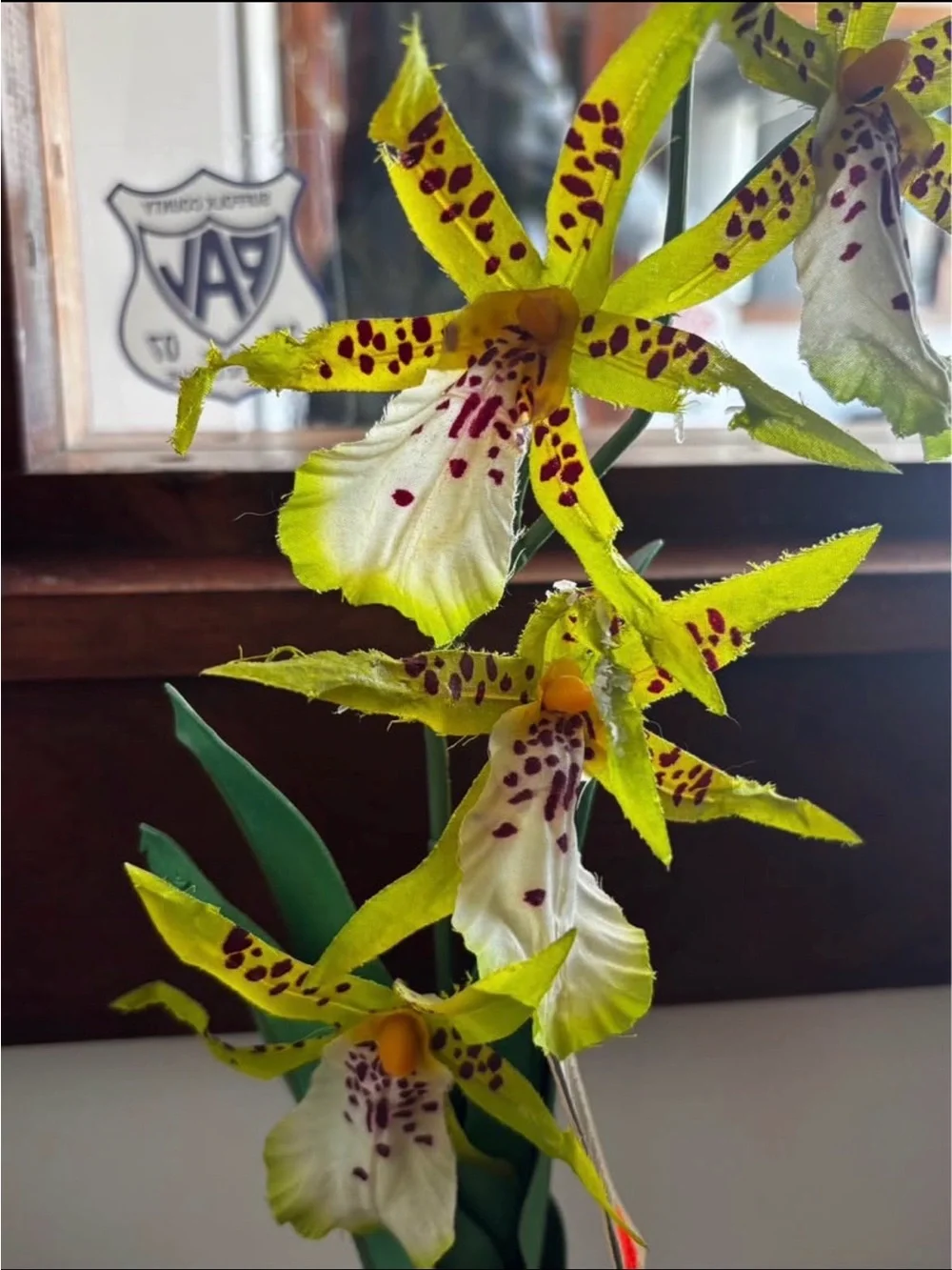 Exo Terra Spider Orchid Fake Plant Reptile Tank Decor